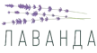 Лаванда