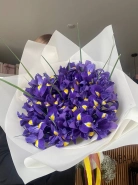 39 ирисов в упаковке 0